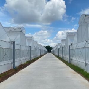 Anti Fog Greenhouse PE Film Vietnam Factory