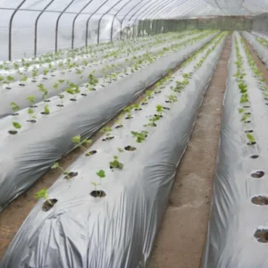 OEM Mulching Film Manufacturer Vietnam