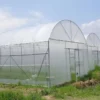 wholesale-greenhouse-plastic-film-vietnam