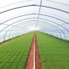 200 micron greenhouse plastic wholesale