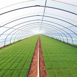 wholesale-uv-antidrop-greenhouse-film